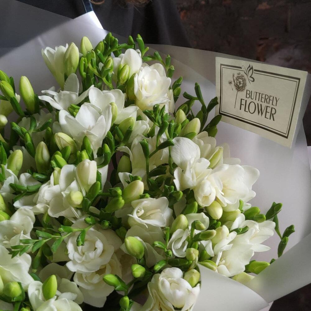 Букет из 45 белых фрезий в стильной упаковке 